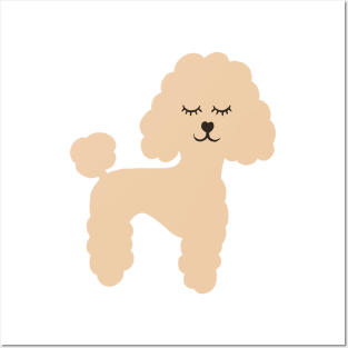 Cute Sleepy Beige Apricot Poodle Illustration Posters and Art